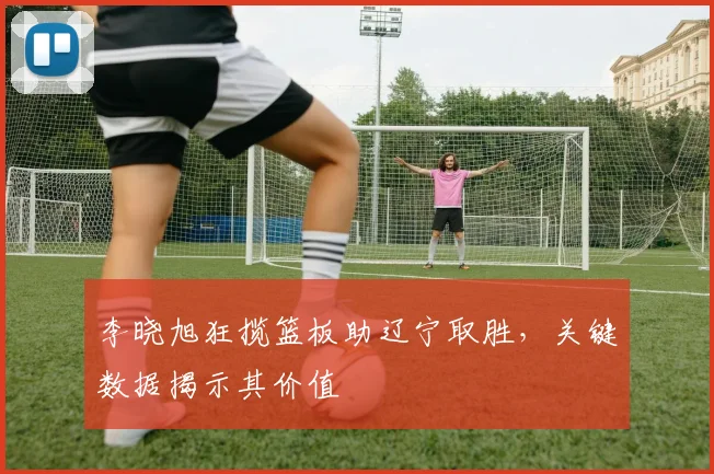 李晓旭狂揽篮板助辽宁取胜，关键数据揭示其价值